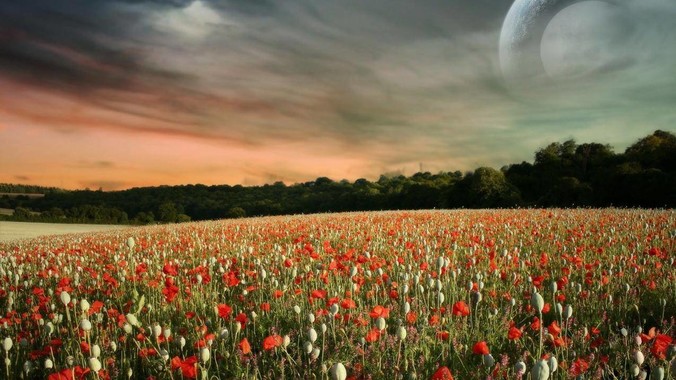 有用 NAS 被联通以安全为由要求停止使用的吗？